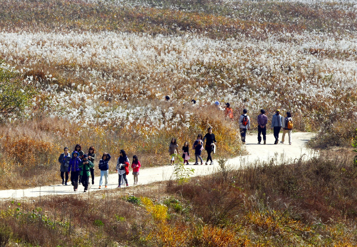 충주시 제공