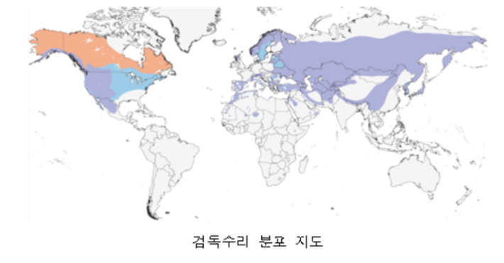 검독수리 분포 지도. 국립생태원 제공 