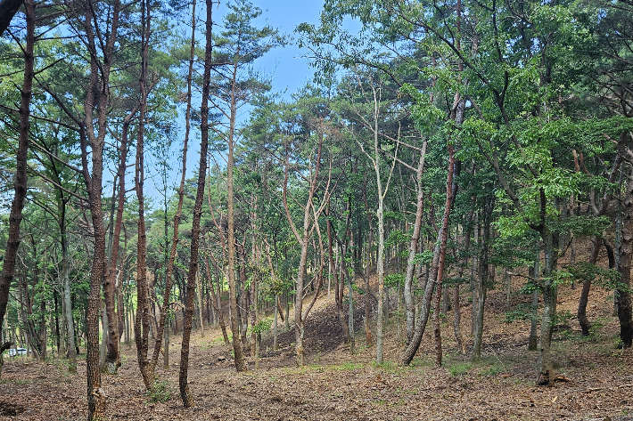 양산시 제공