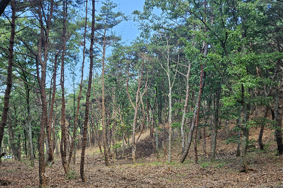 양산시 제공