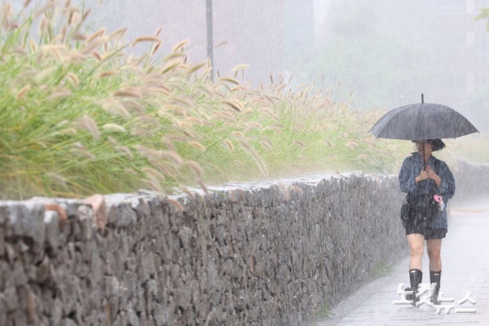 전국 곳곳에 거센 가을비가 내린 17일 서울 종로구 열린송현 녹지광장에서 우산을 쓴 시민이 발걸음을 재촉하고 있다.