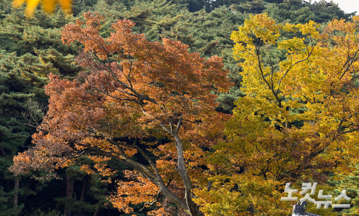 광주(경기)=박종민 기자
