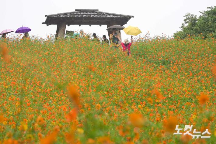 가을 추억 한장