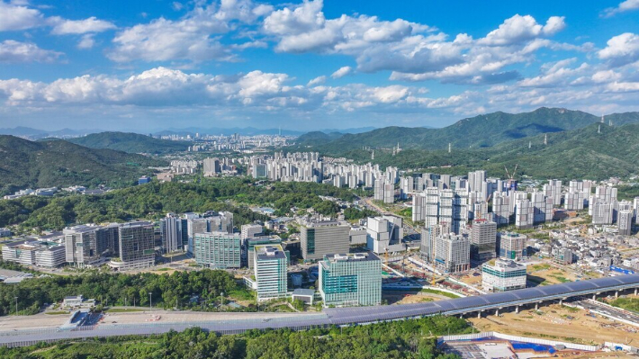 과천 지정타 일대 모습. 과천시 제공