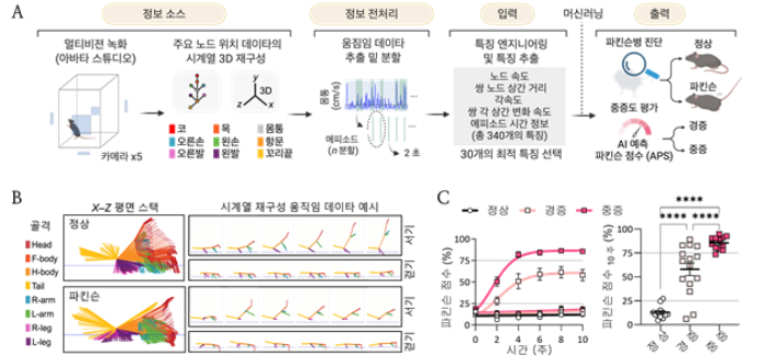 인공지능 (AI) 기반 파킨슨병 진단 및 중증도 평가. KAIST 제공