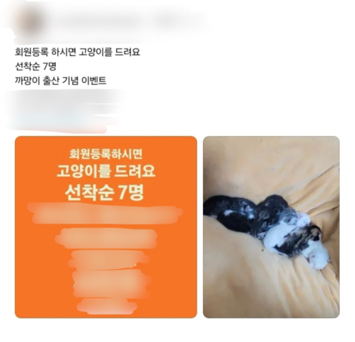 온라인 커뮤니티 캡처