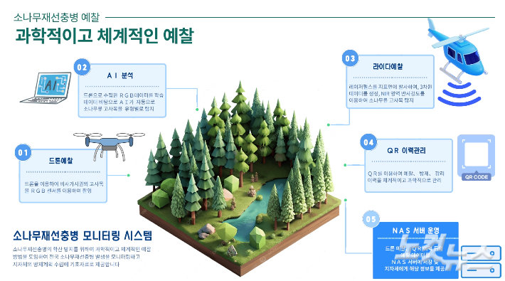 소나무재선충병 예찰 과정. 산림청 제공