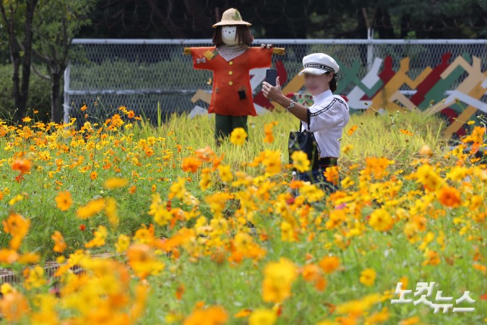 25일 경기도 고양시 일산호수공원에서 열린 2025 고양가을꽃축제 코스모스밭에서 한 시민이 허수아비와 사진을 찍고 있다.