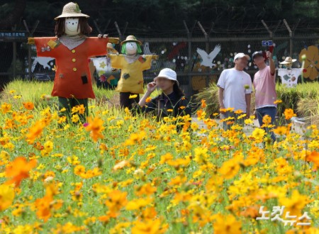 25일 경기도 고양시 일산호수공원에서 열린 2025 고양가을꽃축제를 찾은 시민들이 활짝 핀 코스모스 사이를 지나고 있다.
