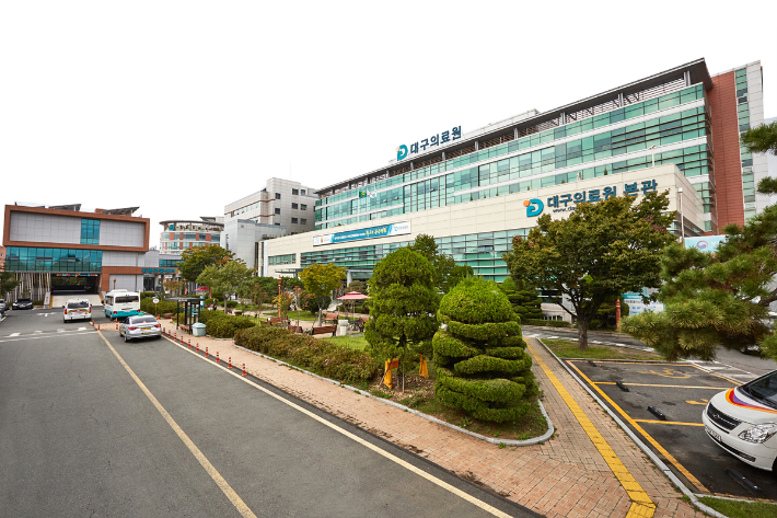 대구시 제공