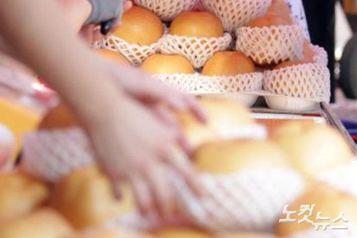 기사 내용과 관련 없는 사진. 자료사진