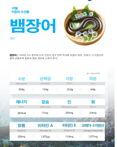10월 이달의 수산물로 선정된 뱀장어. 해양수산부 제공