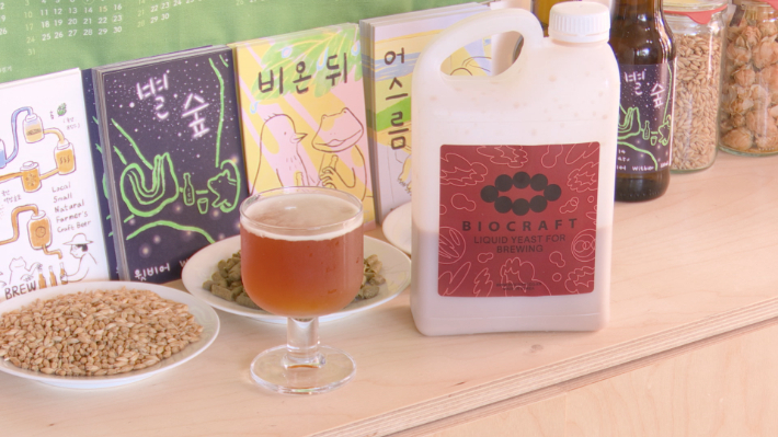 맥주 시장 'K-양조' 새 시대 열려…국산 효모 개발 성공. 노컷TV 캡처