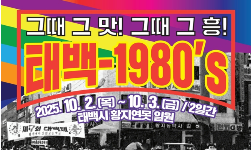 태백시 제공