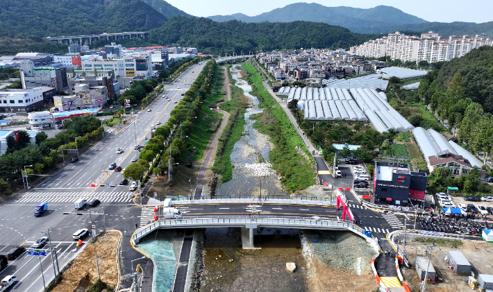 구도교 전경. 대전 동구 제공