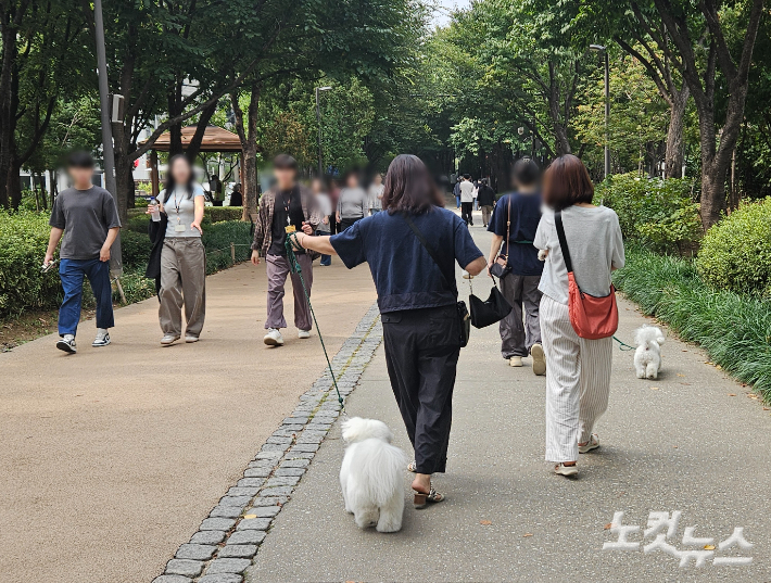 견주들이 반려견과 함께 산책로를 거닐고 있다. 이원석 기자