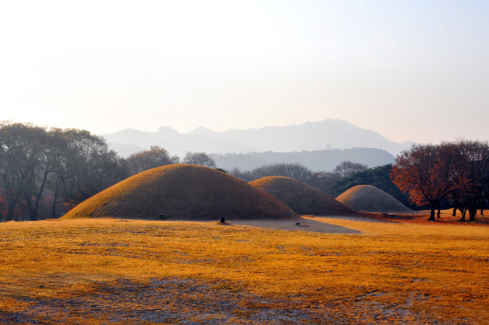 경주 대릉원의 아침풍경. 경주시 제공