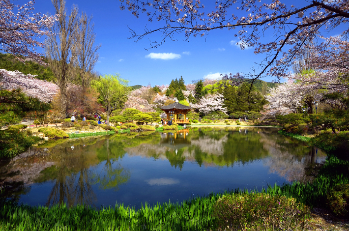 경주 보문관광단지에 있는 보문정. 경주시 제공