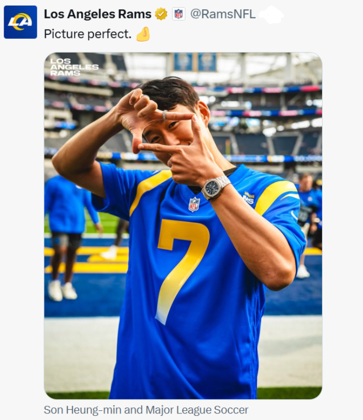 NFL LA 램스 X 캡처 