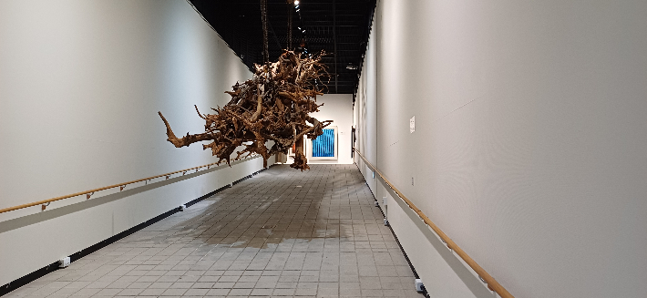 안치홍, 'shape 2025 (울림)', 나무, 12000 x 2000'x 2000cm 가변설치(2025). 양평아트로드포럼 제공