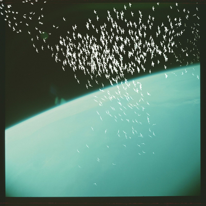 아그니에슈카 폴스카, '우주 속의 새들 3', 잉크젯 프린트, 115 x 115cm(2025). 대구사진비엔날레 제공