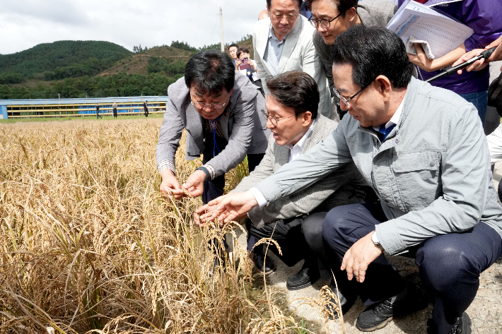 김민석 국무총리와 김영록 전라남도지사가 7일 오후 벼 깨씨무늬병 피해지역 현장인 장흥군 안양면 해창리 일원을 방문, 김성 장흥 군수로부터 피해 현황을 살펴보고 있다. 전라남도 제공