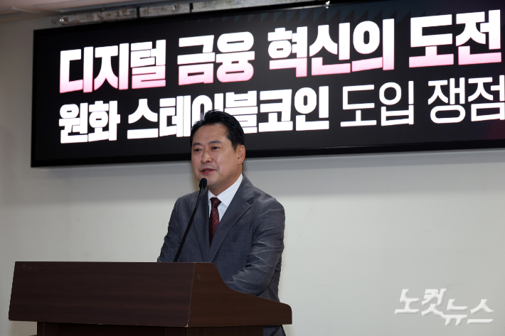 국내 스테이블코인 일거래 2천억원대로 줄어…"가상자산 시장 둔화 영향"