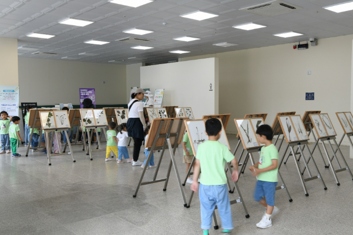 희귀 특산 식물표본 전시. 전남 산림연구원 제공