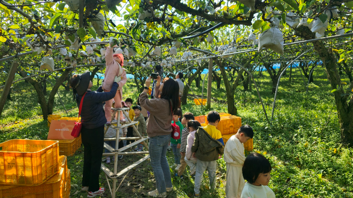 전남 10월의 농촌체험휴양마을로 선정된 나주 에코 왕곡마을의 배따기 체험. 전라남도 제공
