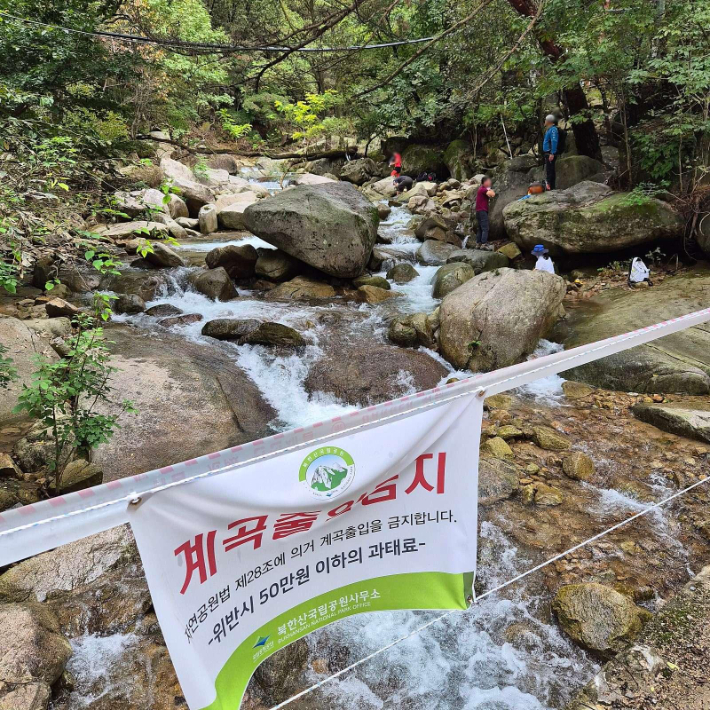 온라인 커뮤니티 캡처