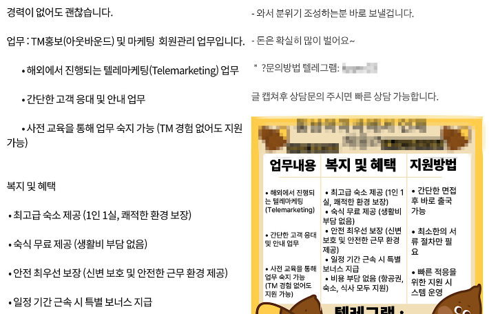온라인 사이트에 올라온 해외 구인구직 광고글. 캡처