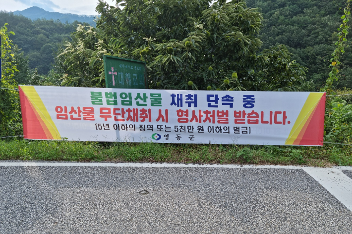 영동군 제공