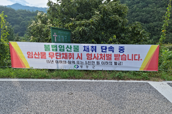 영동군 제공