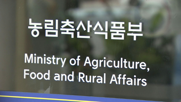 연합뉴스