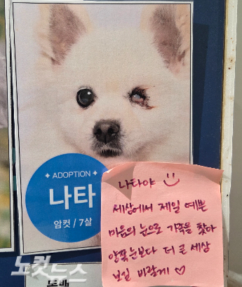 '나타야, 세상에서 제일 예쁜 마음의 눈으로 가족을 찾아 양쪽 눈보다 더 큰 세상 보길 바랄게'. 최영주 기자