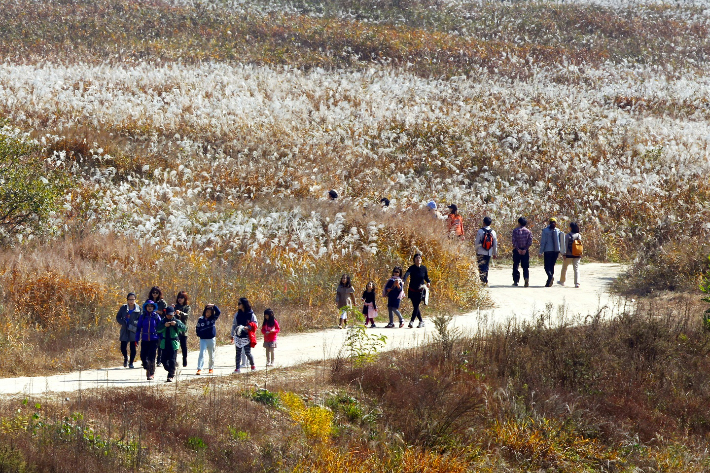 충주시 제공