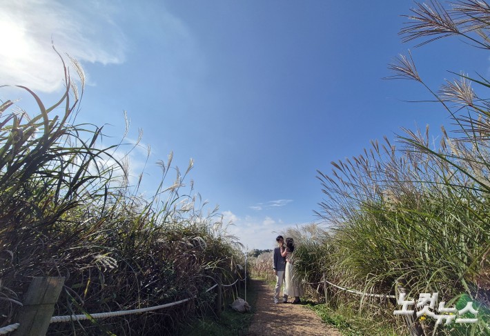 연인과 함께 찾는 