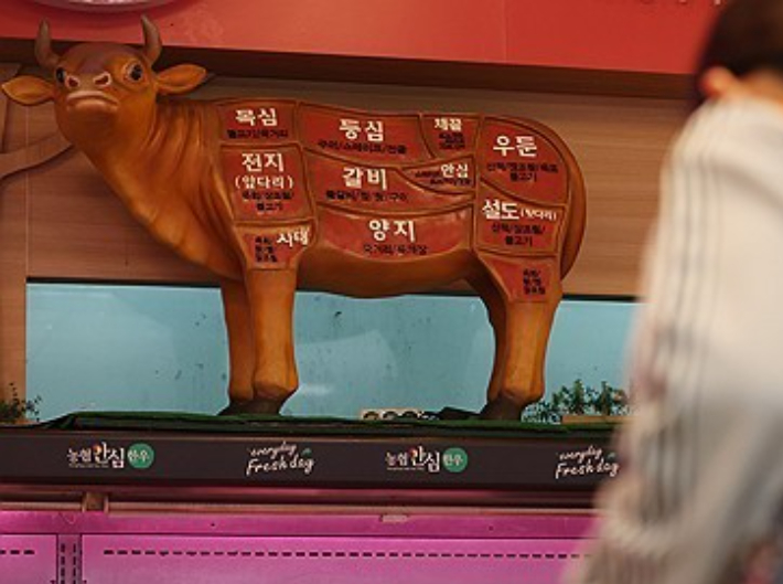 연합뉴스