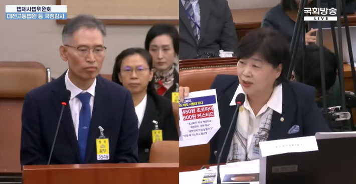 법제사법위원회 국정감사. 더불어민주당 서영교 의원 질의 모습. 국회방송 캡처