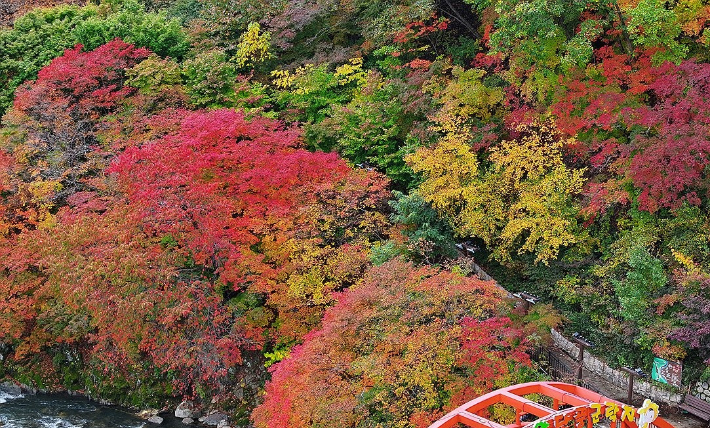 연합뉴스