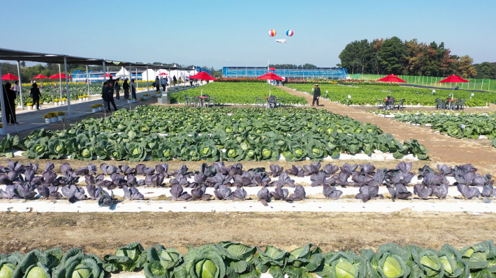 '2025 국제종자박람회' 행사장. 노컷TV 캡처