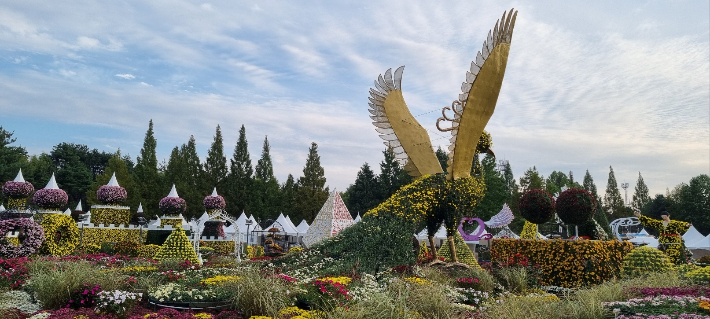 익산 천만송이 국화축제가 24일부터 11월 2일까지 열린다. 익산시 제공