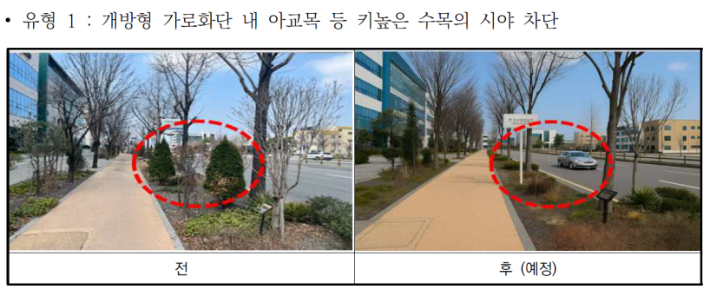 전주시의 가로수 정비 전후 사진. 전주시 제공