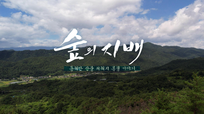 MBC강원영동은 26일 오전 8시 30분 동해안 산불피해지 복원 방안을 탐구한 다큐멘터리 '숲의지배-동해안 산불 피해지 복원 이야기'를 방송한다. MBC강원영동 제공