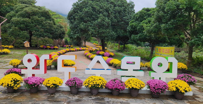 완도 수목원. 전라남도 제공