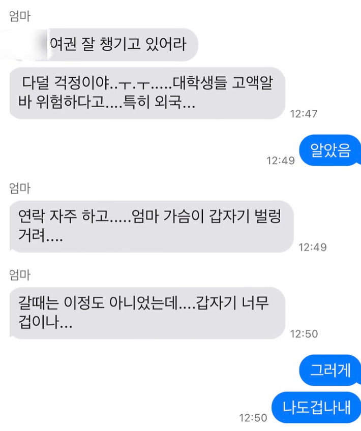 해외 체류 중 안전을 우려하는 부모님의 메시지. 네이버 블로그 캡처