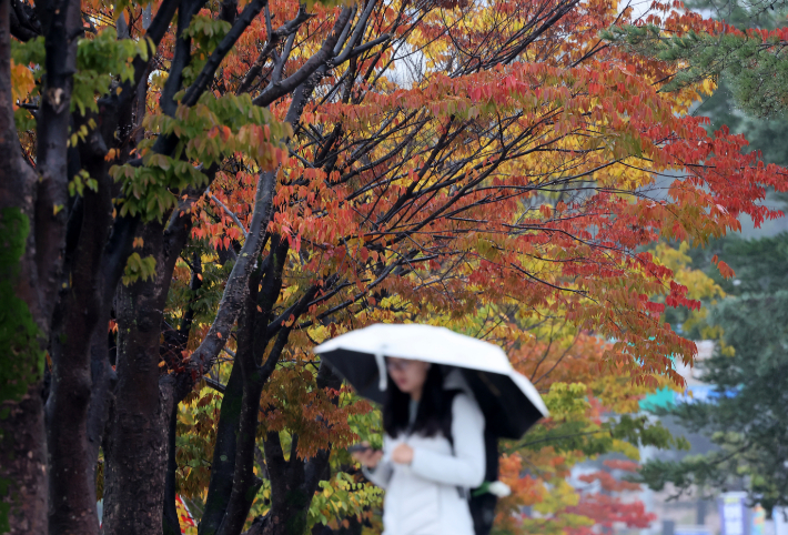 연합뉴스