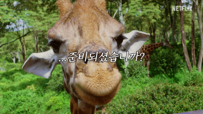 넷플릭스 제공