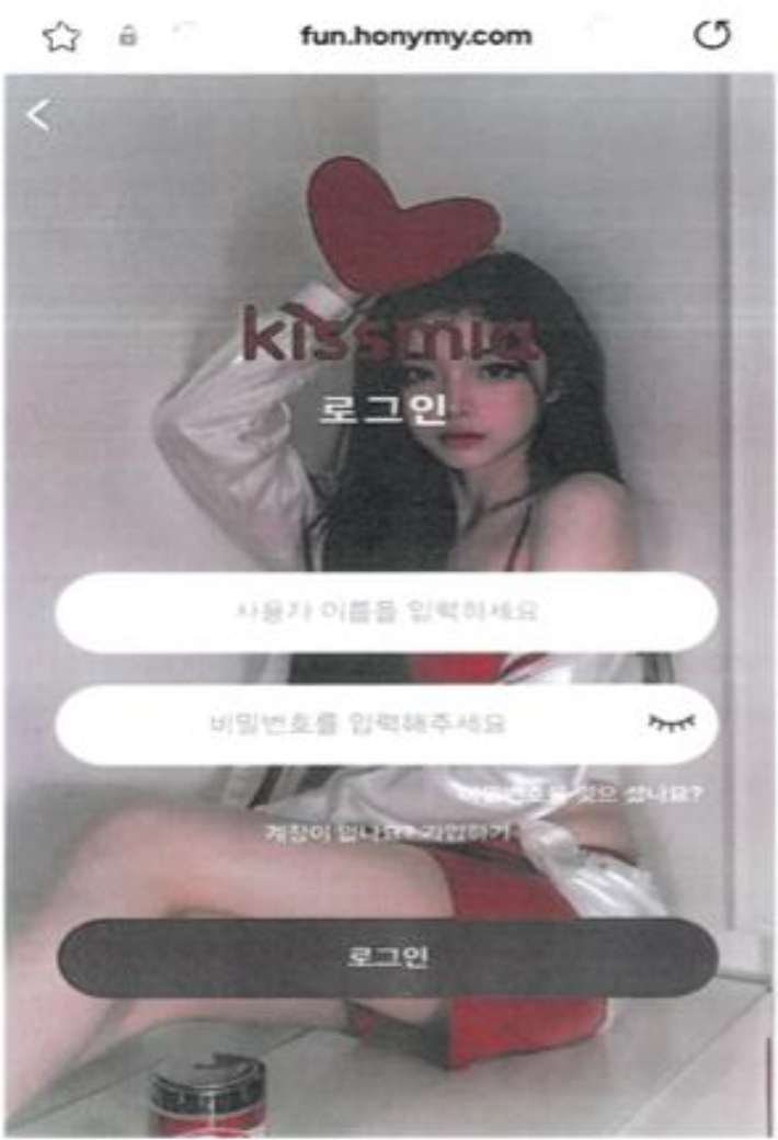 로맨스스캠 화면 캡처. 충남경찰청 제공
