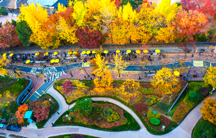 덕수궁 돌담길. 서울시 제공
